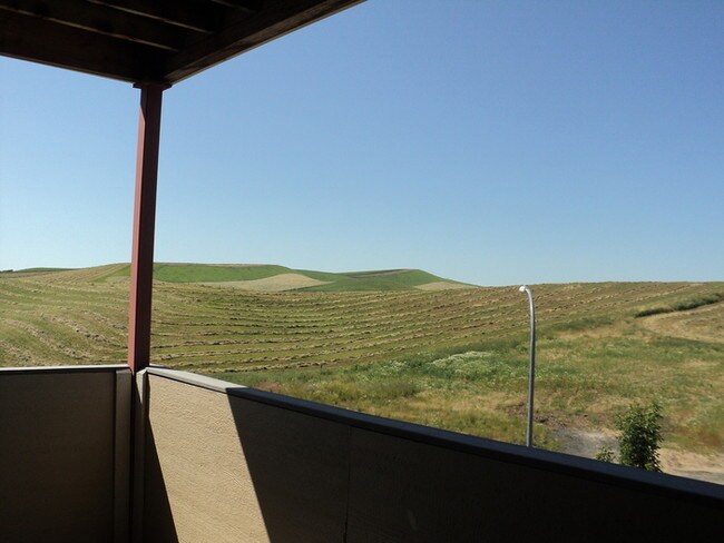 280 Baker St-Unit -APT 201 in Moscow, ID - Building Photo - Building Photo