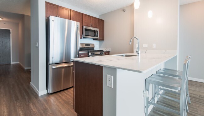 355 E Grand Ave, Unit 3805 in Chicago, IL - Building Photo - Building Photo