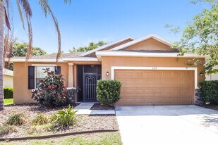6353 Twin Bridges Dr in Zephyrhills, FL - Building Photo