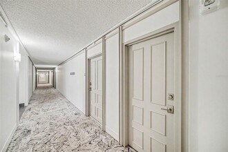 2401 Bayshore Blvd in Tampa, FL - Building Photo - Building Photo