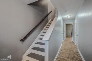 243 Drexel Ct in Martinsburg, WV - Building Photo