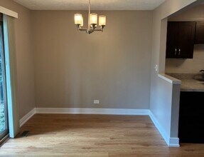 366 Pinetree Ln in Schaumburg, IL - Building Photo - Building Photo