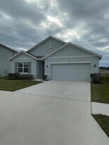 33724 Jasmine Star Lp in Wesley Chapel, FL - Building Photo