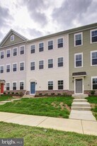 14217 Travilah Rd in Rockville, MD - Building Photo