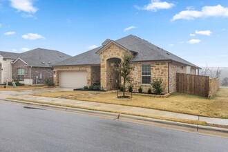 16801 Casa Anna Dr. in Pflugerville, TX - Building Photo - Building Photo