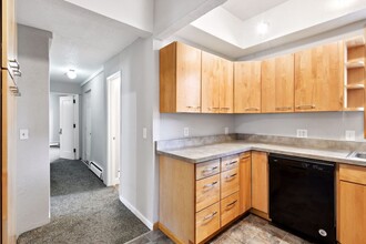 206 E 27th St, Unit Unit 1 in Minneapolis, MN - Building Photo - Building Photo