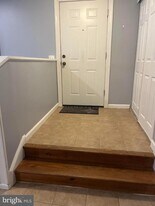 3919 El Soneta Pl in Alexandria, VA - Building Photo