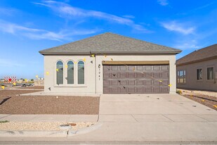 1041 Summer Lake St in Horizon City, TX - Building Photo