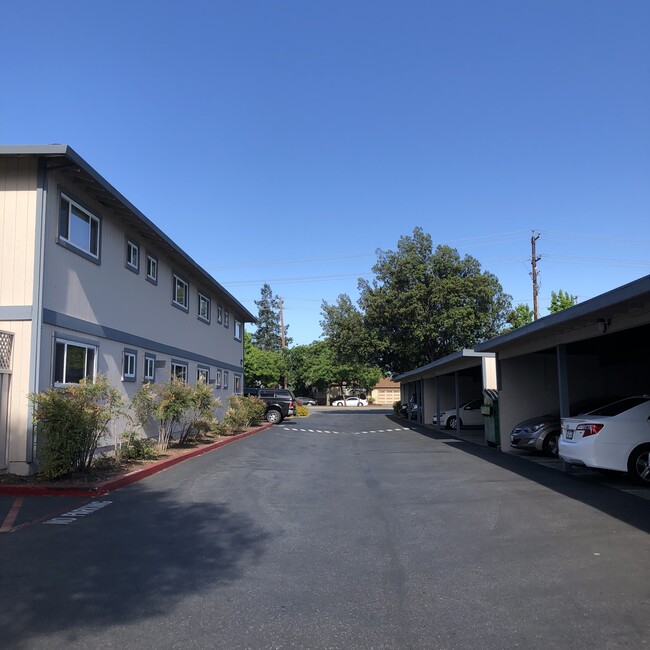 344 // Holly Oaks Apartments in San Jose, CA - Foto de edificio - Building Photo