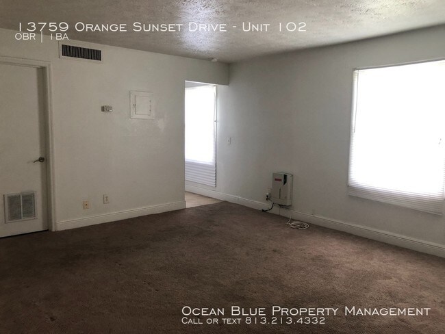 13759 Orange Sunset Dr-Unit -Unit 102 in Tampa, FL - Building Photo - Building Photo