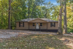 135 Bagsby Hill Ln in Dover, TN - Building Photo