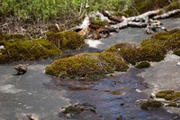 Apartamentos en Lithonia, GA