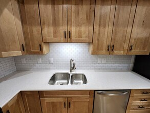 111 N Main St, Unit 1 in Adrian, MI - Building Photo - Building Photo