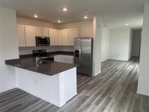 32909 Osprey Peak Wy in San Antonio, FL - Building Photo - Building Photo