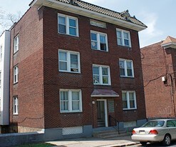 223 Spencer Ave in Pittsburgh, PA - Building Photo