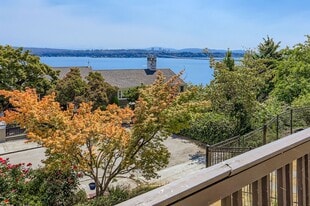 3801 49th Ave NE in Seattle, WA - Building Photo