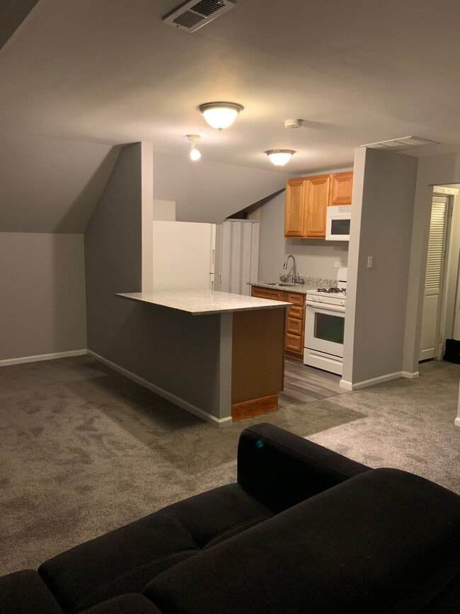 7147 S Princeton Ave, Unit 3