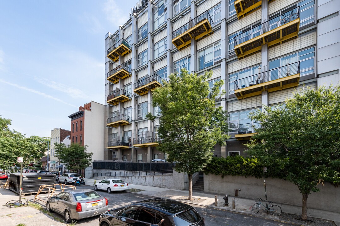 Eckford Apartments in Brooklyn, NY - Building Photo