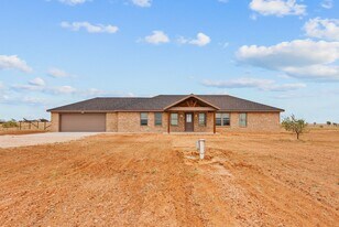 14818 North County Road 1200 in Shallowater, TX - Building Photo