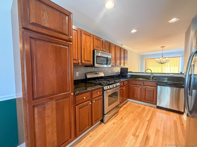 1901 Pinnacle Way in Danbury, CT - Building Photo - Building Photo