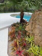 18969 SE Kokomo Ln in Jupiter, FL - Building Photo - Building Photo
