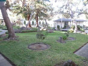 1591 Ellis St in Concord, CA - Building Photo - Building Photo