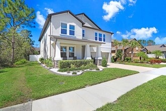 8721 Savory Walk Dr in Land O Lakes, FL - Building Photo - Building Photo