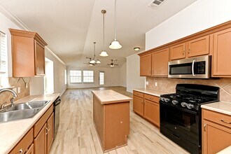 14604 Dreamtime Ln in Pflugerville, TX - Building Photo - Building Photo