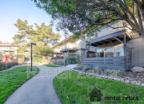233 Masters Ct in Walnut Creek, CA - Building Photo