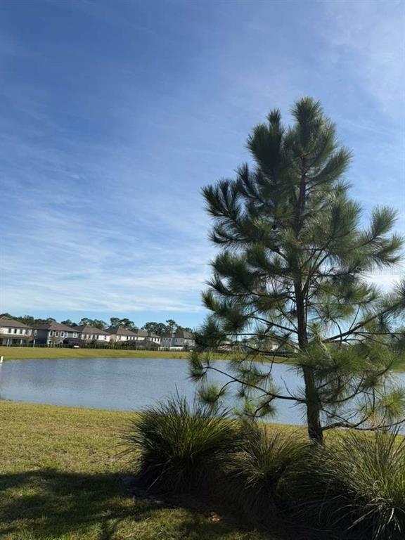 11377 Mandarin Cir in Winter Garden, FL - Building Photo - Building Photo