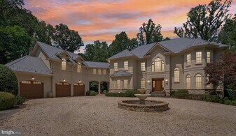 532 Springvale Rd in Great Falls, VA - Building Photo