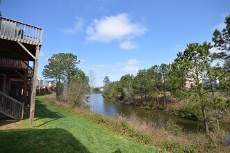 509 Ruby Walk Dr in Morrisville, NC - Building Photo - Building Photo