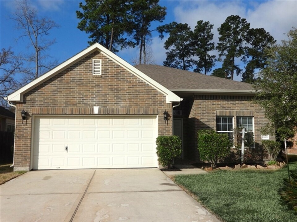 28819 Hidden Cove Dr in Magnolia, TX - Building Photo