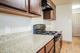 19027 Volga River Dr in Katy, TX - Building Photo - Building Photo