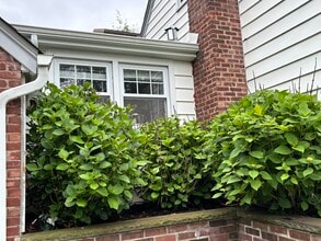 173 Lincoln Blvd in Emerson, NJ - Building Photo - Building Photo