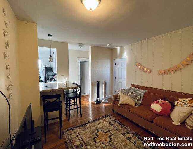 2009 Commonwealth Ave, Unit 10 in Boston, MA - Building Photo - Building Photo