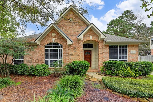 3 S Acacia Park Cir in Spring, TX - Foto de edificio - Building Photo