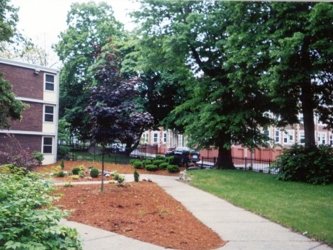 Westminster Court in Roxbury, MA - Foto de edificio