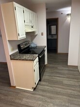 215 E Park Ave in Libertyville, IL - Foto de edificio - Building Photo