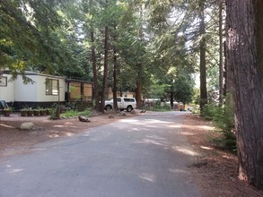 Whispering Pines in Pollock Pines, CA - Building Photo - Building Photo