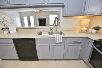1519 Sword Dancer Dr in Virginia Beach, VA - Building Photo - Building Photo