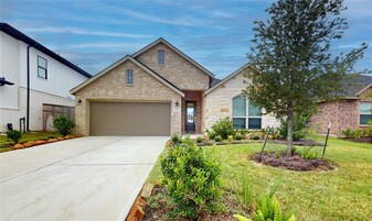 31531 Beacon Cove Trl