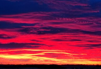 7920 E Greenland Rd in Franktown, CO - Building Photo - Building Photo