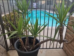 917 E Madison Ave, Unit 917 E Madison Ave in El Cajon, CA - Building Photo - Building Photo