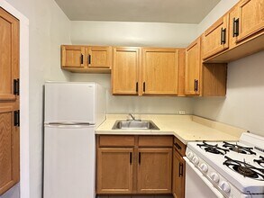 1160 N Dearborn St, Unit J01W in Chicago, IL - Building Photo - Building Photo