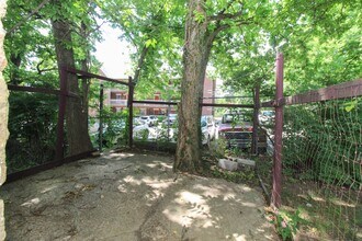 611 Reagan St in Fayetteville, AR - Building Photo - Building Photo