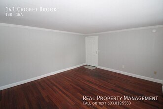 141 Cricket Brook in Dover, NH - Building Photo - Building Photo