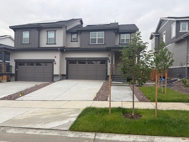 537 Nightsky St in Erie, CO - Building Photo - Building Photo