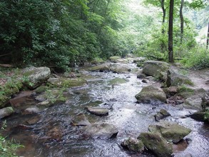 Fall Creek Cabins in Purlear, NC - Building Photo - Building Photo