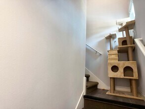 861 SW 5th Terrace in Gainesville, FL - Building Photo - Building Photo